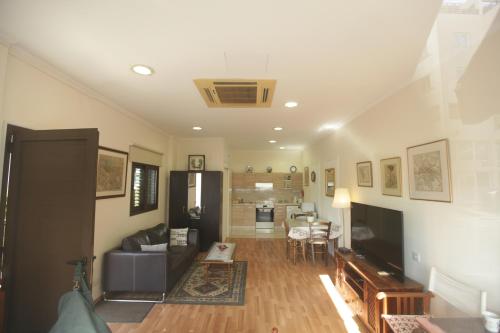 尼科西亚Nicosia Luxury Studio的带沙发和电视的客厅