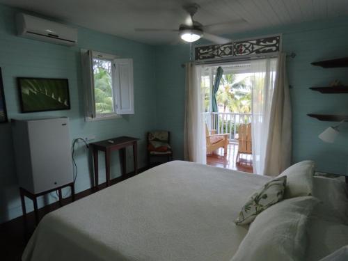 博卡斯德尔托罗Sand Dollar Beach Bed & Breakfast的一间卧室设有一张床和一个带庭院的窗户。
