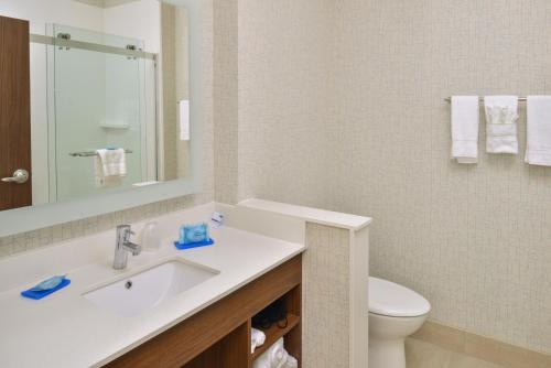 沙德伦沙德伦智选假日酒店的一间带水槽和卫生间的浴室