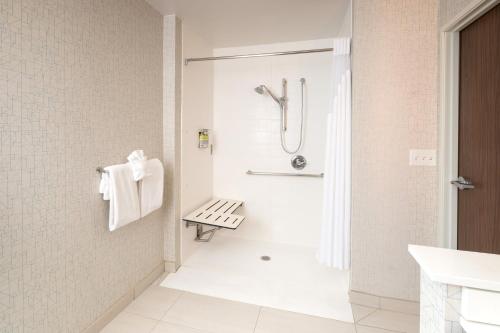 Holiday Inn Express & Suites - Kalamazoo West, an IHG Hotel的一间浴室