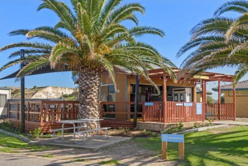 阿德莱德Discovery Parks - Adelaide Beachfront的一座建筑前的棕榈树