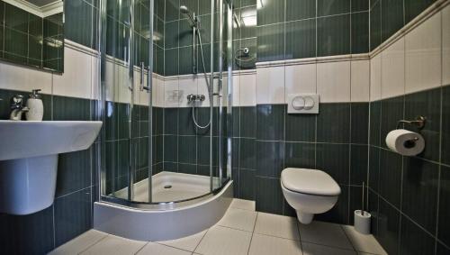 GranowoDwór Niemierzyce的带淋浴、卫生间和盥洗盆的浴室