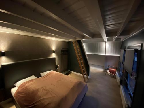 奥尔登扎尔OP10 Logeren的一间卧室设有一张床和梯子