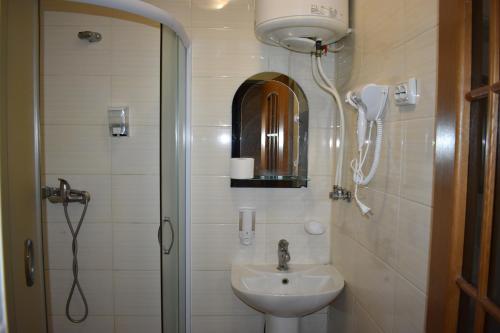 Malaya BugayevkaFG Dzherelo S的一间带水槽和淋浴的小浴室