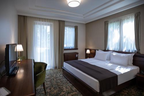 帕利克Hotel & Spa PALIĆ RESORT的酒店客房配有一张床、一张书桌和一台电视。