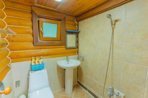 西归浦市中文洛格膳食公寓及度假村的浴室配有卫生间水槽和淋浴。