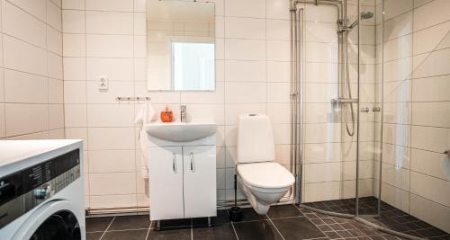 费尔耶斯塔登Saxnäs Ferieboende L Sara的浴室配有卫生间、盥洗盆和淋浴。