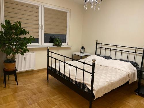 什切青Apartament Arkońska的一间卧室设有一张黑色的床和一个窗户。