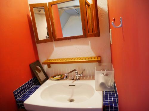 大阪Guest House mii的一间带水槽和镜子的浴室