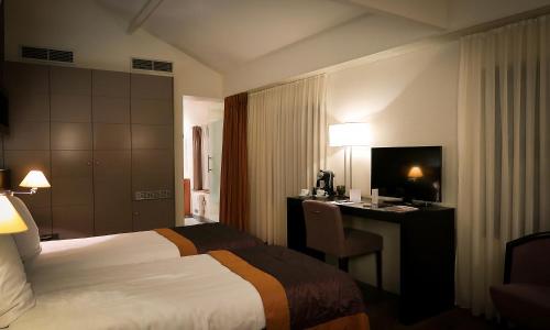 马塞克范艾克酒店的配有一张床和一张书桌的酒店客房