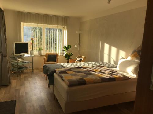 施托尔贝格Haus Bergstrasse的一间卧室配有一张床、一张书桌和一台电视