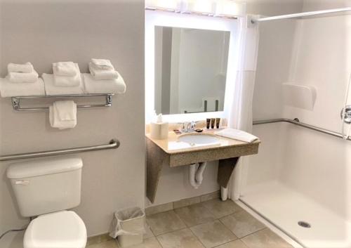 伊利温德姆温盖特酒店的一间浴室