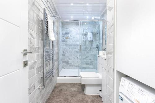 雷丁Executive Central Self Contained Flat by CozyNest的带淋浴和卫生间的白色浴室