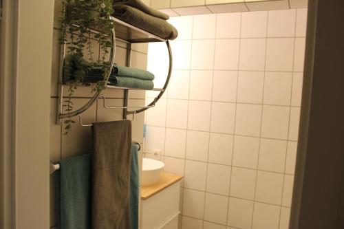 巴特索伯恩海姆Ferienapartment Helling的浴室配有盥洗盆、镜子和毛巾