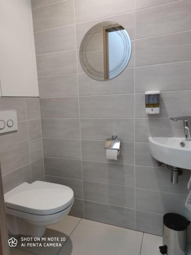 勒芒Chambre d'hôtes du Muguet avec SdB privative的一间带卫生间、水槽和镜子的浴室