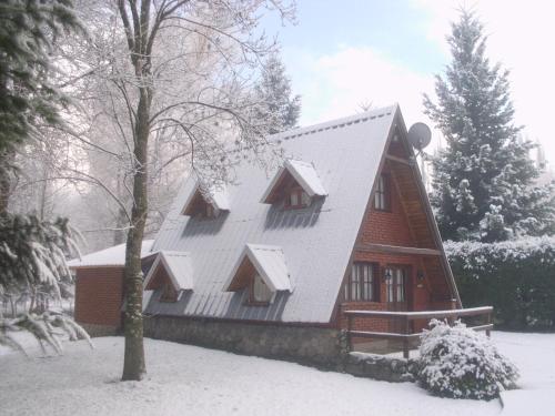 普埃洛湖卡瓦尼亚斯诺索特罗斯山林小屋的雪中白色屋顶的房子