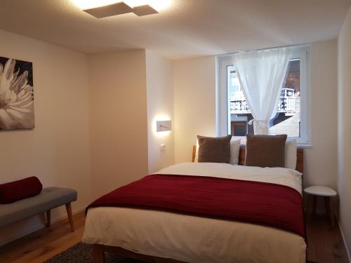 萨斯费Britannia - Apartment Patagonia的一间卧室设有一张大床和一个窗户。