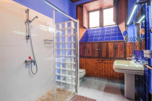 加拉奇科Casa Tradicional Canaria的带淋浴、盥洗盆和卫生间的浴室