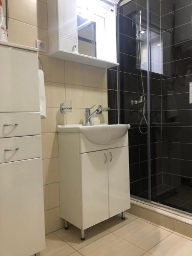 巴尼亚科维利亚查Apartman Jezdić的一间带水槽和淋浴的浴室
