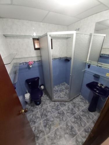 卡塔赫纳HOSPEDAJE CARIBE EXPRESS的带淋浴、卫生间和盥洗盆的浴室
