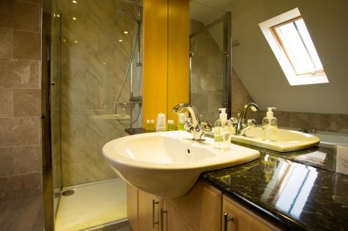 埃伦港伊斯雷酒店的一间带水槽和淋浴的浴室