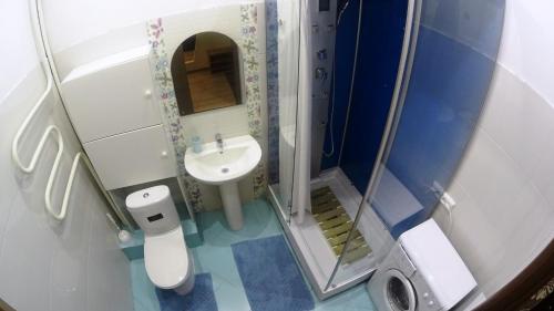 新西伯利亚Апартаменты на Челюскинцев 3的一间带水槽和镜子的小浴室