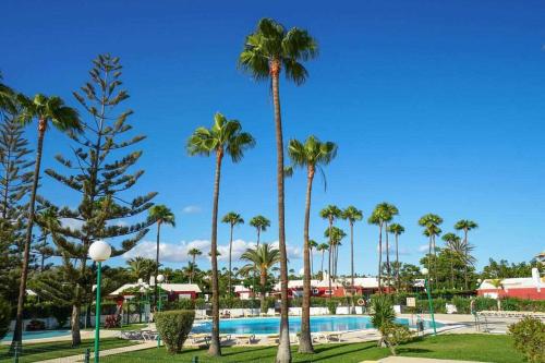 马斯帕洛马斯Los Tunos 81 Air conditioned 1 bedroom的享有棕榈树度假村的游泳池景致