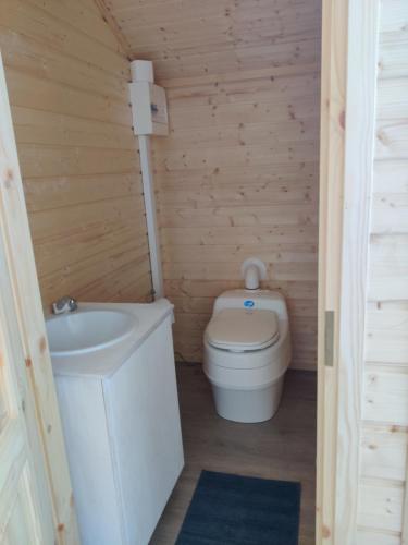 锡尔卡Polar Lights Lodge的一间带卫生间和水槽的小浴室