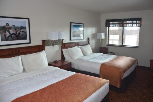 Watford CityRoosevelt Inn & Suites的酒店客房设有两张床和窗户。