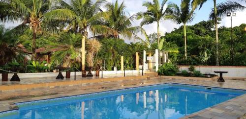 伊瓜佩Pousada Atelier Aly da Costa的一座棕榈树环绕的游泳池