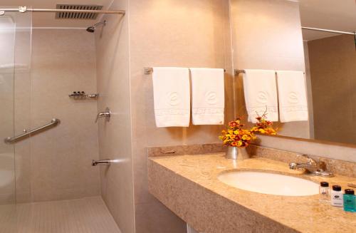 马尼萨莱斯电缆之星酒店的一间带水槽和淋浴的浴室