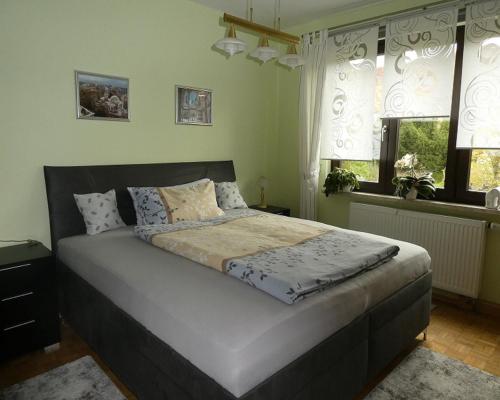 巴特利本施泰因Ferienwohnung "Waldblick"的卧室设有一张大床,设有两个窗户