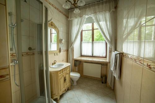 Dubiecko杜别茨科扎梅科酒店的一间带水槽和卫生间的浴室以及窗户。