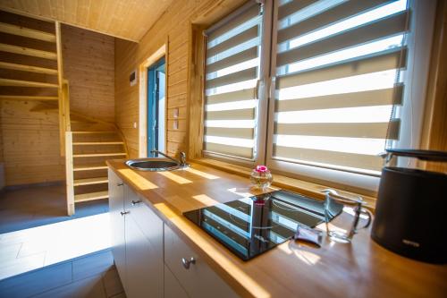 米耶伦科Quiet Resort的一个带水槽和窗户的小厨房