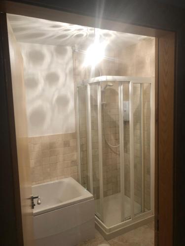邓甘嫩Parkwood House的带淋浴和白色浴缸的浴室