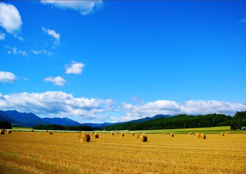 远轻町Farm Stay Ezura Farm的山地干草场