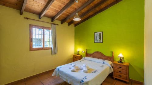 AlmácharCasa Alejandro Almachar by Ruralidays的一间卧室设有一张带绿色墙壁和窗户的床。