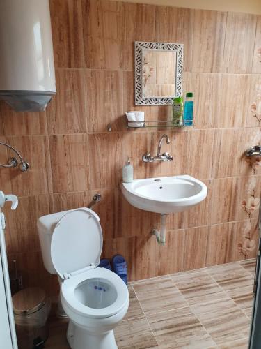 特罗扬Rooms Lagat的一间带卫生间和水槽的浴室