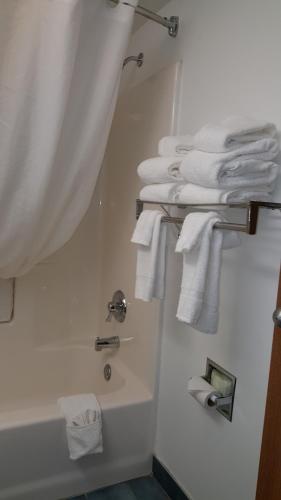 芒特普莱森特Quality Inn的浴室配有盥洗盆、淋浴和毛巾