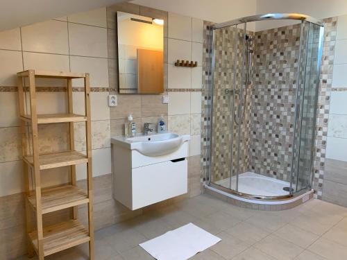 卡什佩尔斯凯霍里Kašperky 440的一间带水槽和淋浴的浴室