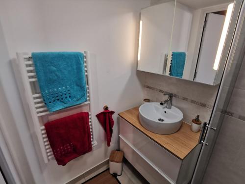 热克斯Hebergeneve La belle vie的浴室配有盥洗盆、镜子和毛巾