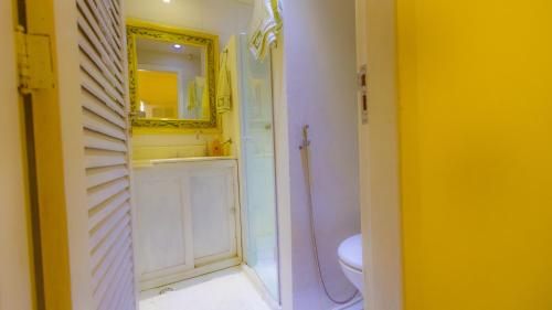 萨尔瓦多Apartamento do Washington的一间带水槽、卫生间和镜子的浴室