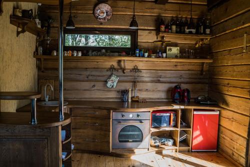 ZhemoyteleAkmeninis Bebras的厨房设有木墙和炉灶烤箱。