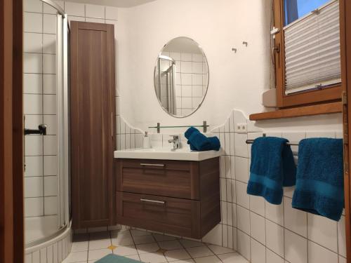 泰尔夫斯Apartment Martina的一间带水槽和镜子的浴室