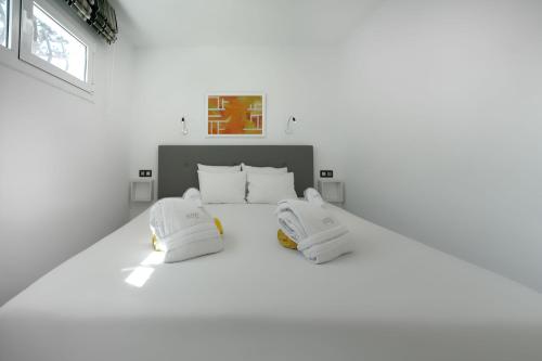 大西洋阳光海滩酒店-仅限男同性恋者入住客房内的一张或多张床位