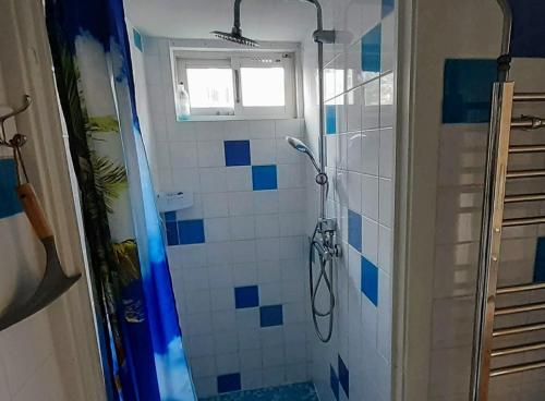 滨海韦克Close to the beach的浴室设有蓝色和白色瓷砖淋浴。