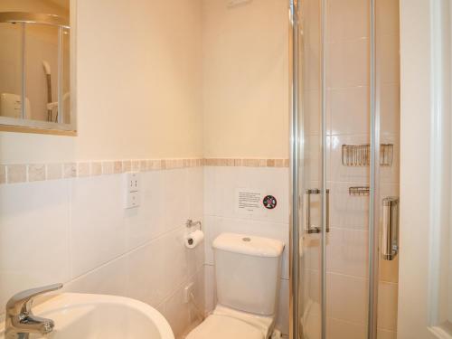 索尔科姆The Keel Row的浴室配有卫生间、盥洗盆和淋浴。