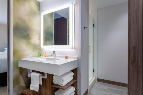 奥兰多Wyndham Garden Orlando Universal / I Drive的一间带水槽和镜子的浴室
