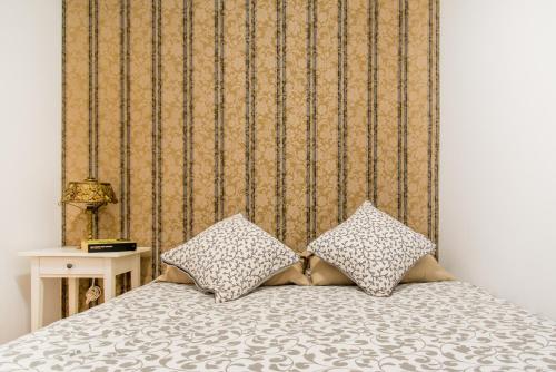 巴塞罗那Art Nouveau Apartment的一间卧室配有一张带两个枕头的床