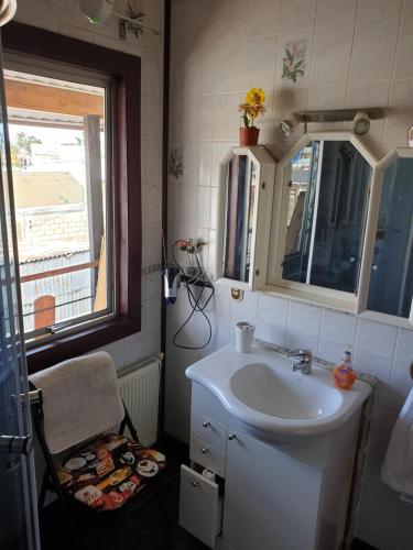 蓬塔阿雷纳斯La Casa Guesthouse的一间带水槽和窗户的小浴室